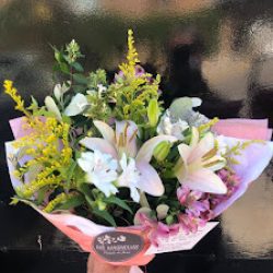 Mil Magnolias