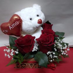 Mundo Floral