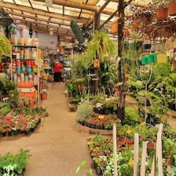 Mundo Jardin Vivero Y Floreria