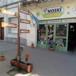 Noski Vivero Y Adornos