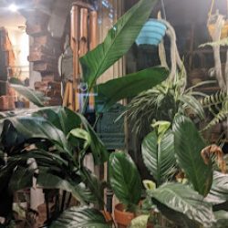 Onda Verde