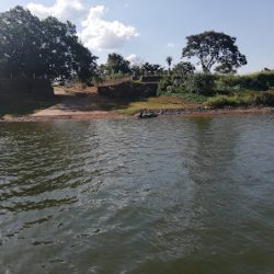 Pase Internacional — Alba Posse - Porto Mauá