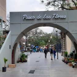 Paseo De Las Flores
