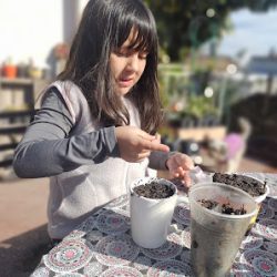 Plantas Y Flores 