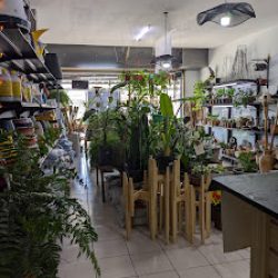 Planteria Y Floreria Esperanza