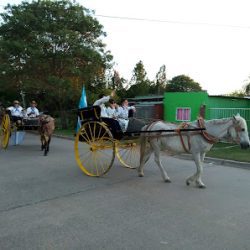 Plaza Central De Margarita Belén