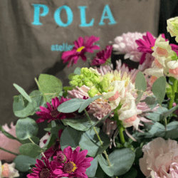 Pola Atelier
