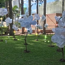 Porquiflores