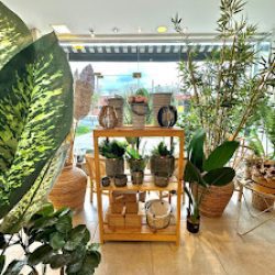 Puesto De Flores & Deco