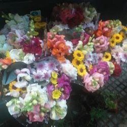 Puesto De Flores Flor Maria