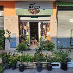 Raices Dyp