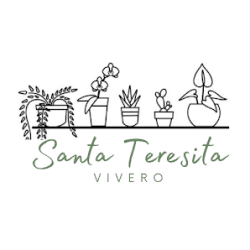 Santa Teresita