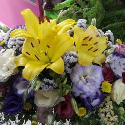 Stilo Plantas Y Flores