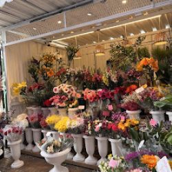 Su Florista