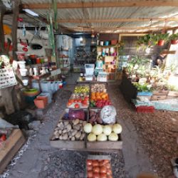 Tienda De Plantas Lazos De Amor