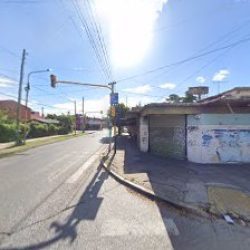 Tienda De Plantas