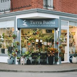 Tierra Buena