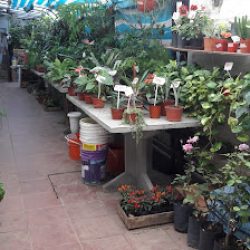 Tuarreglofloral.com