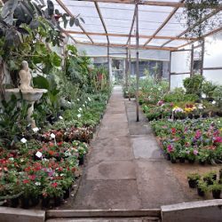 V.a. Tienda De Flores