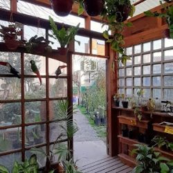 Vivero Aflora