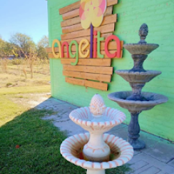 Vivero Angelita, Florería Y Plantería