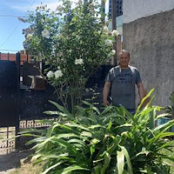 Vivero Azul