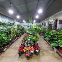 Vivero Bolivar