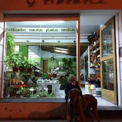 Vivero Carlitos