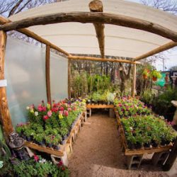 Vivero Del Lago