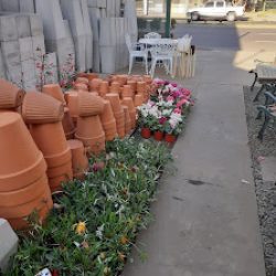 Vivero Del Sol