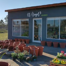 Vivero El Ángel