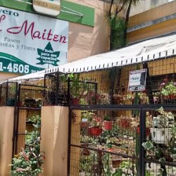 Vivero El Maitén