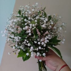 Vivero-floreria 