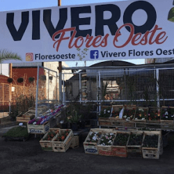 Vivero Flores Oeste