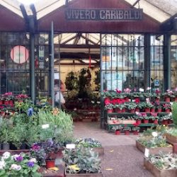 Vivero Garibaldi