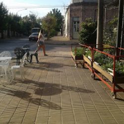 Vivero Ginkgo - Plantas En General Y Parquizaciones