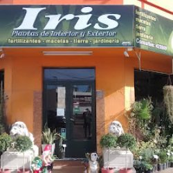Vivero Iris