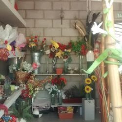 Vivero Jardín América(sucursal 1)
