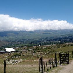 Vivero La Julieta