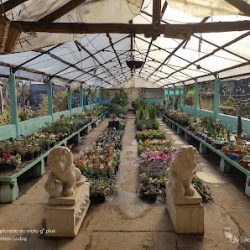 Vivero Las Palmeras