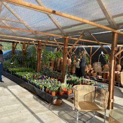 Vivero Los 7 Soles