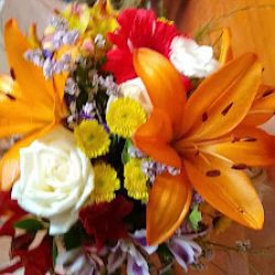 Vivero Los Laureles