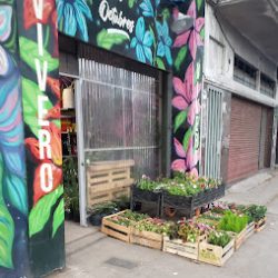 Vivero Los Octubres En Primavera