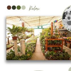 Vivero Mi Jardín