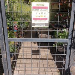 Vivero Mundo De Plantas