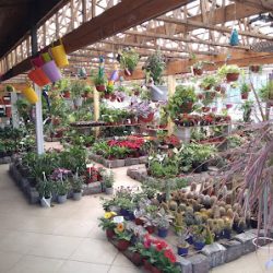 Vivero Quilmes