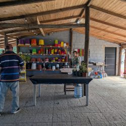 Vivero Quinta Los Teros