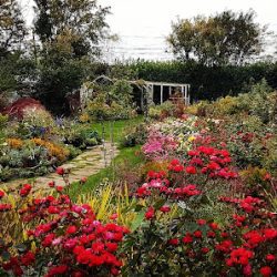 Vivero Terruños De Patagonia