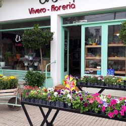 Vivero Y Floreria