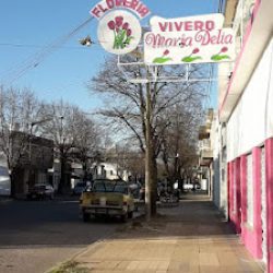 Vivero Y Florería María Delia